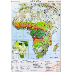 Afryka gospodarcza 106x140cm. Mapa ścienna.