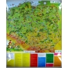 M-DR Polska w obrazkach dla dzieci 1:750 Mapa ścienna 104x124cm Piętka