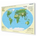 Świat rozmieszczenie ludności - ekumena, subekumena i anekumena 160x120cm. Mapa w ramie aluminiowej.