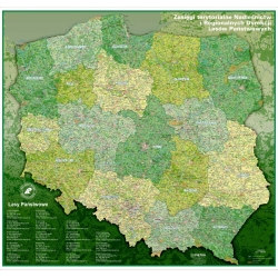 Polska - zasięgi terytorialne Nadleśnictw i Regionalnych Dyrekcji Lasów Państwowych 142x133cm. Mapa ścienna.