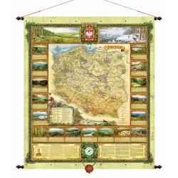 Polska. Mapa lasów - ozdobna 97x100cm. Mapa ścienna.