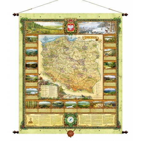 Polska. Mapa lasów - ozdobna 97x100cm. Mapa ścienna.