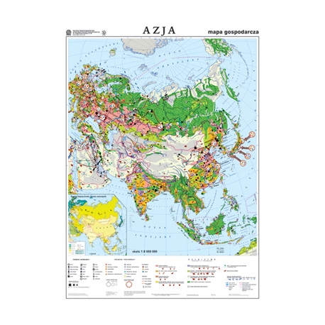 Azja Gospodarcza 110x150cm. Mapa ścienna.