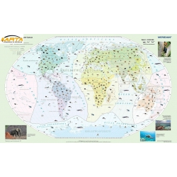 Świat - krainy zoogeograficzne 160x120cm. Mapa ścienna.