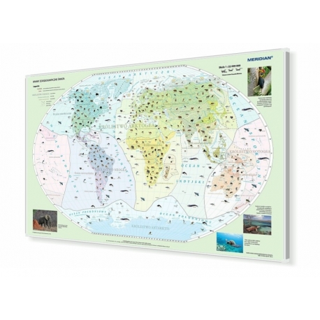 Świat - Krainy zoogeograficzne 160x110cm. Mapa magnetyczna.